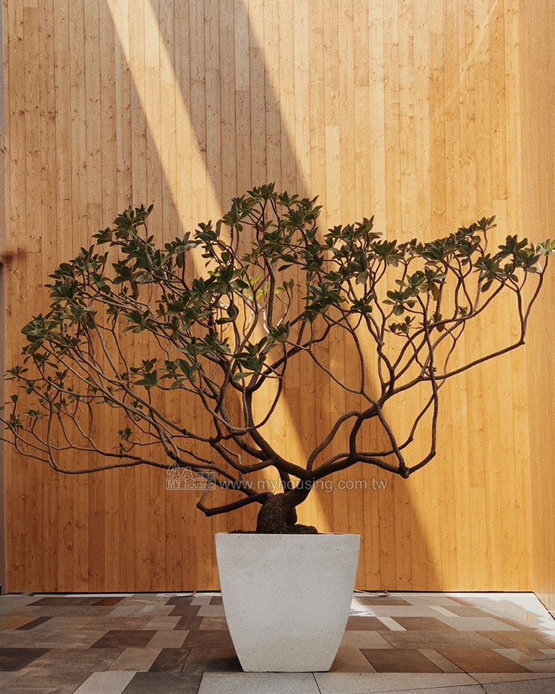 富廣開發攜手MIT，打造台灣科技建築