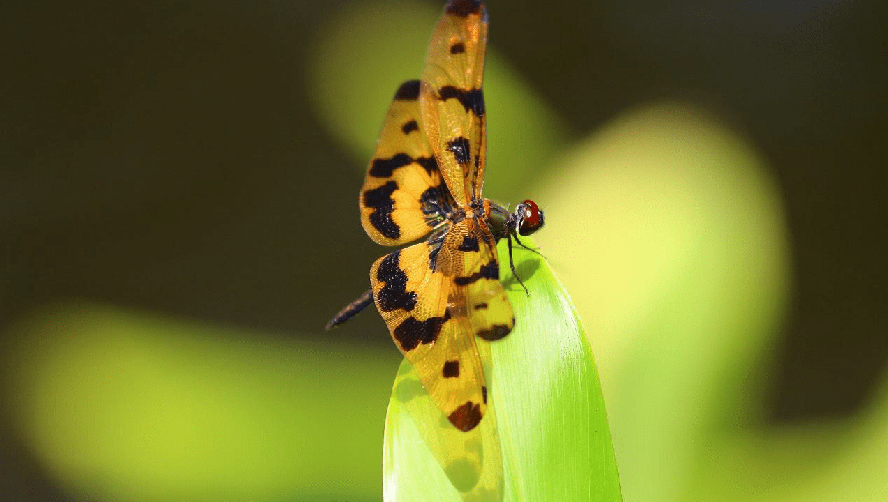 40a48e9e-575f-4d8a-b98a-04665893aa3f