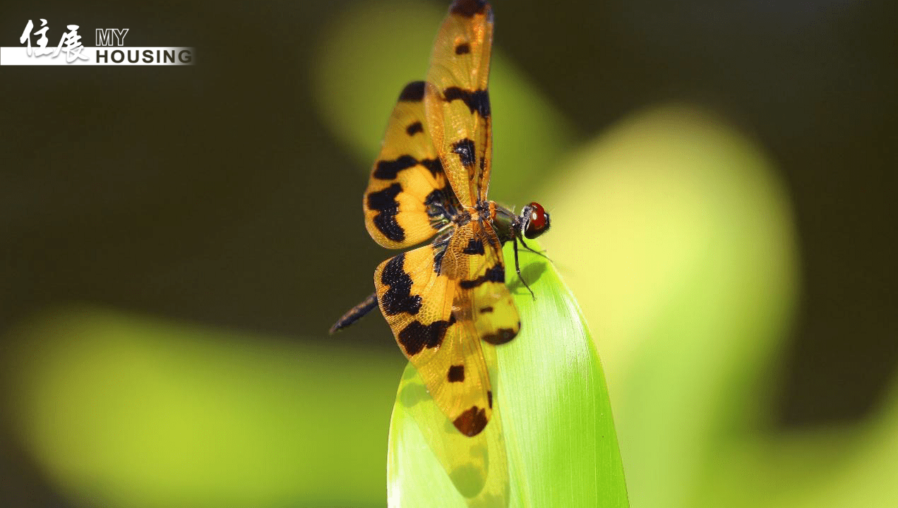 40a48e9e-575f-4d8a-b98a-04665893aa3f