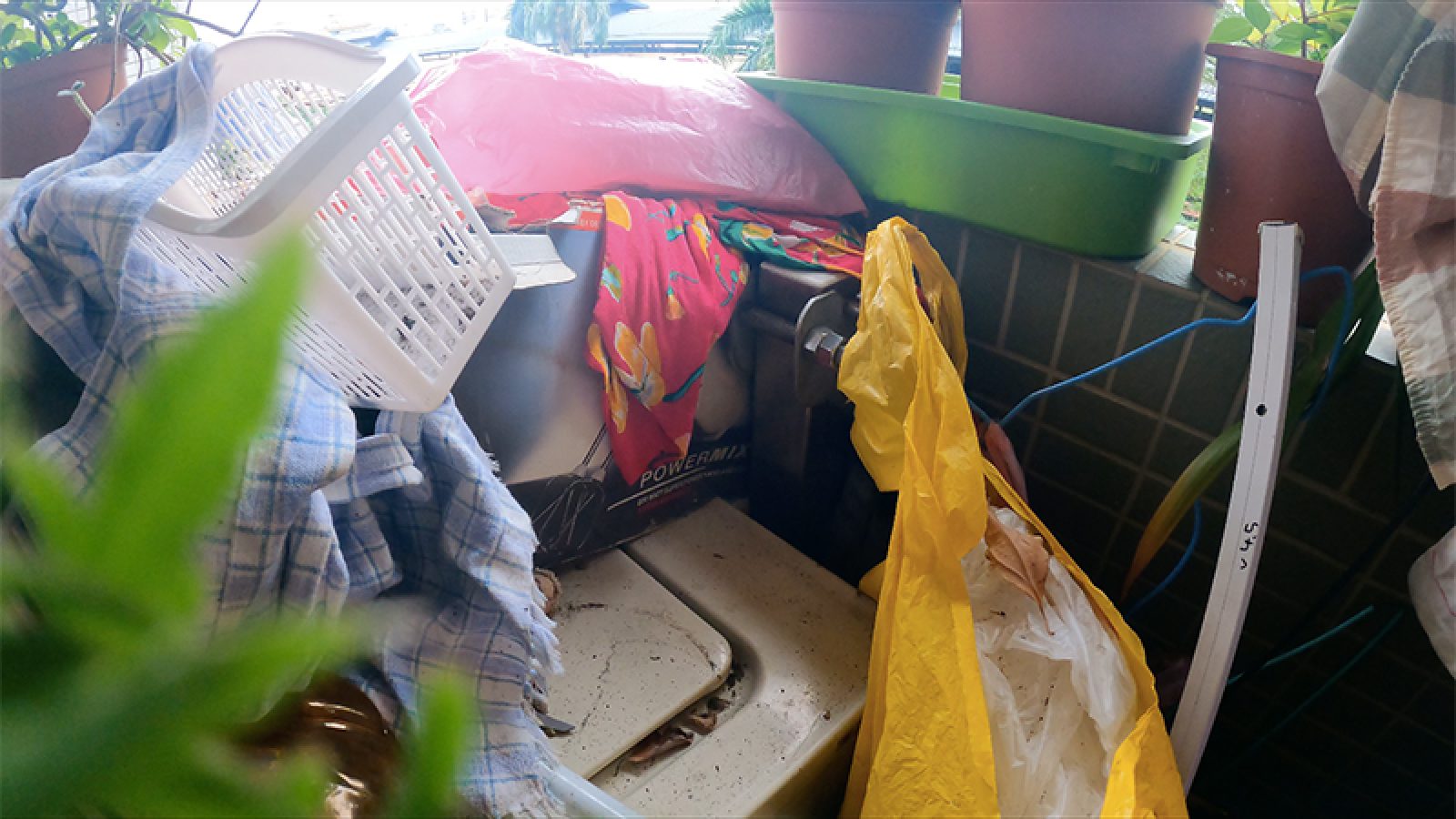租霸遭退租 新北住都中心說明主因