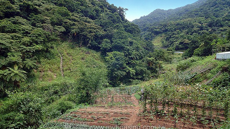 農業用地移轉申請 依法調整原地價