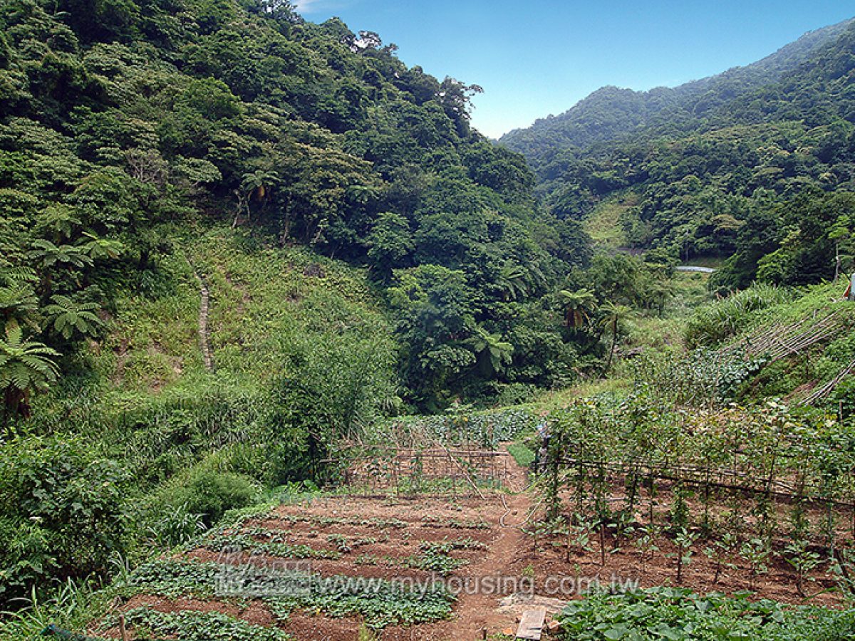 農業用地移轉申請 依法調整原地價