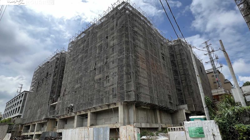 楊梅新天地-大善 結構