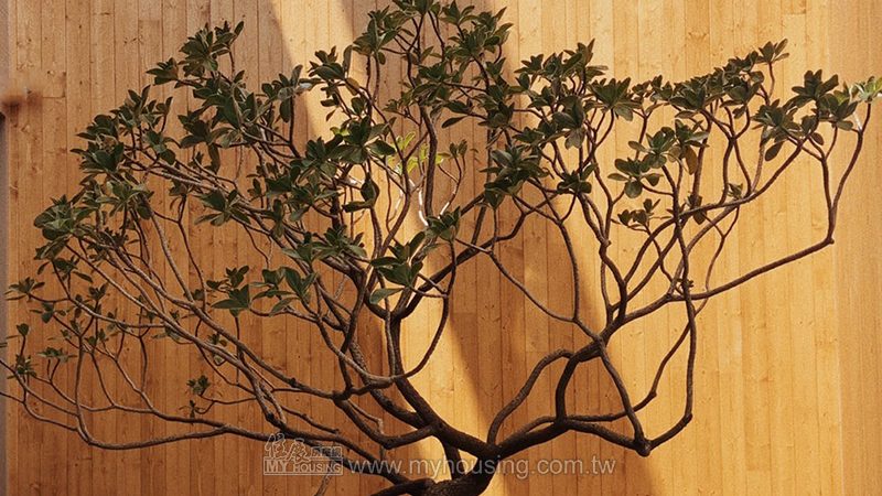 富廣開發攜手MIT，打造台灣科技建築