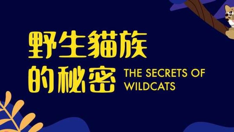 【臺北市立動物園】野生貓族的秘密