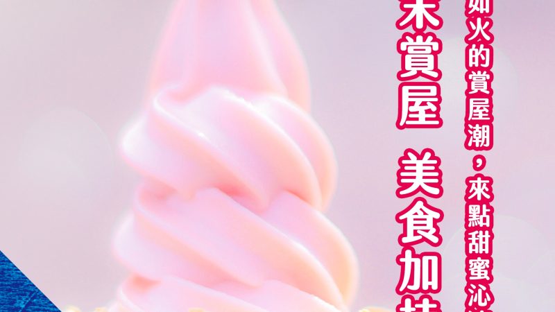 桃園中路特區高人氣新景點！