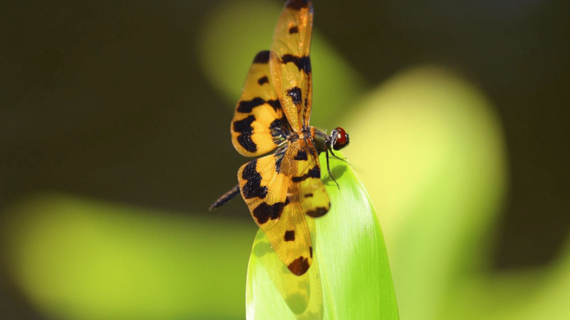 40a48e9e-575f-4d8a-b98a-04665893aa3f