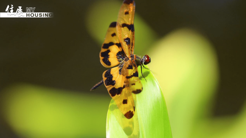 40a48e9e-575f-4d8a-b98a-04665893aa3f