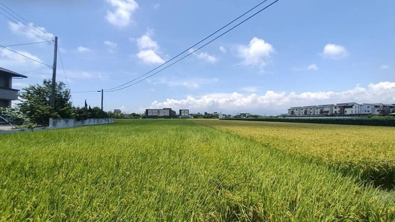 9e78ce783496494b_1200x900