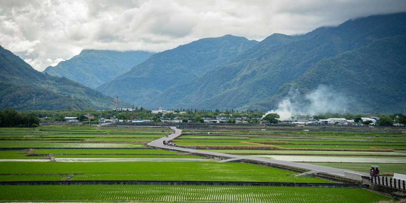 國土法預計今年四月底上路後，影響最大為非都市土地中的農地。圖／PEXELS