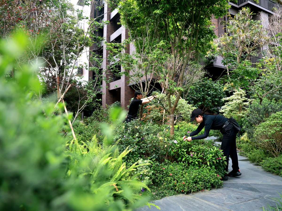 陸府建設專屬的「綠海植人團隊」提供植栽的研發、選種及定期養護。圖／陸府提供