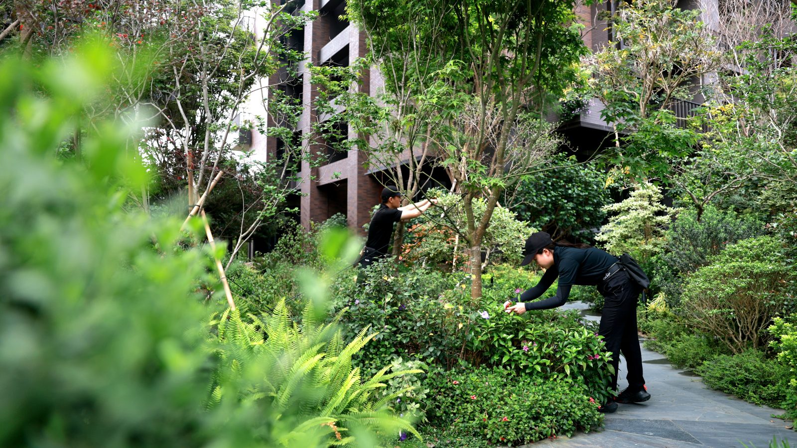 陸府建設專屬的「綠海植人團隊」提供植栽的研發、選種及定期養護。圖／陸府提供