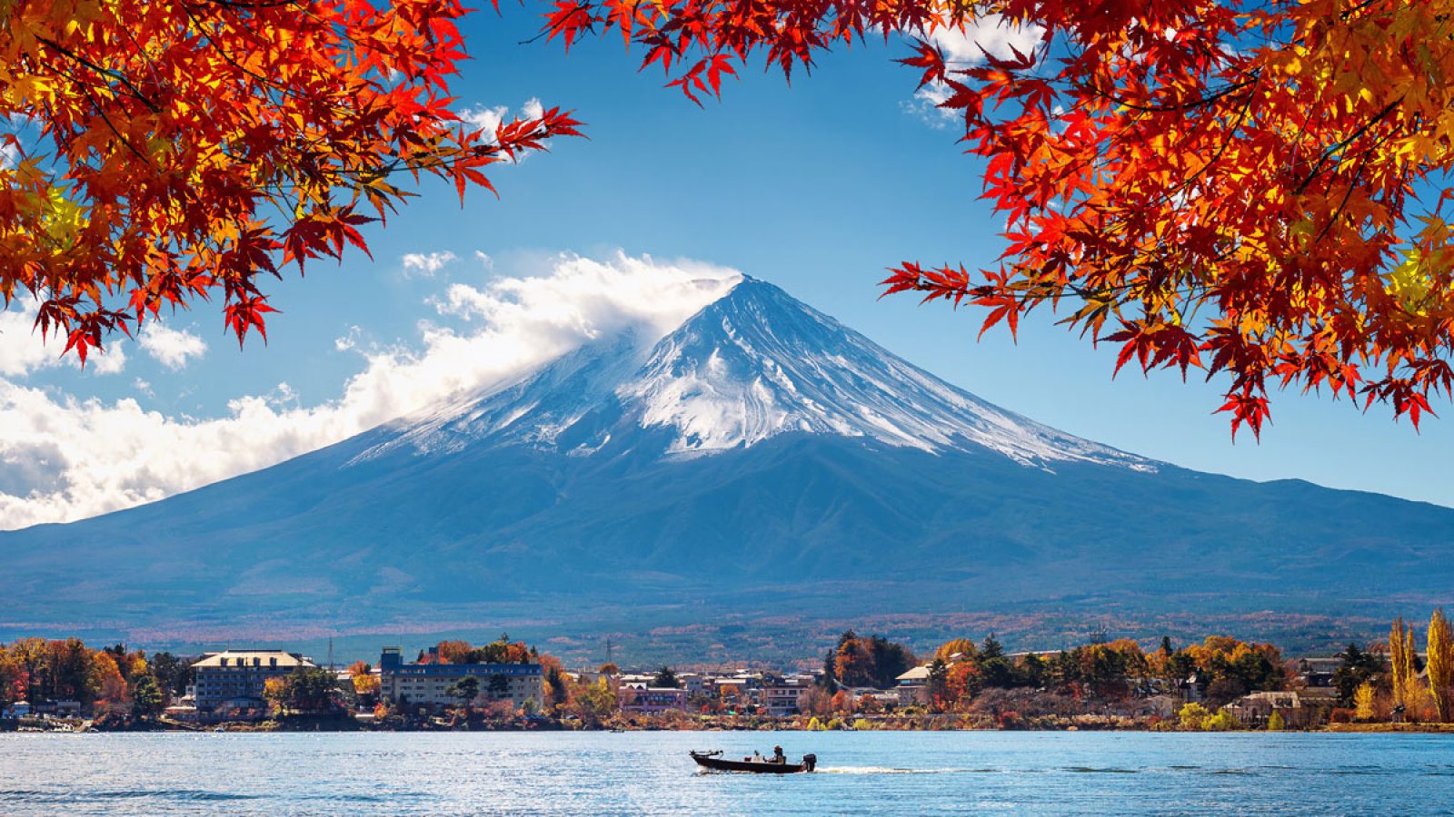 aa