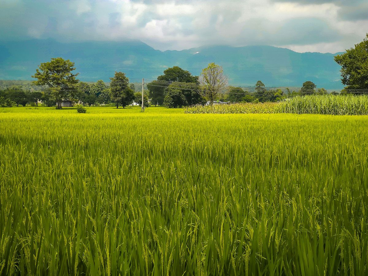 ekamjot-singh-KMxOkW6UhLo-unsplash