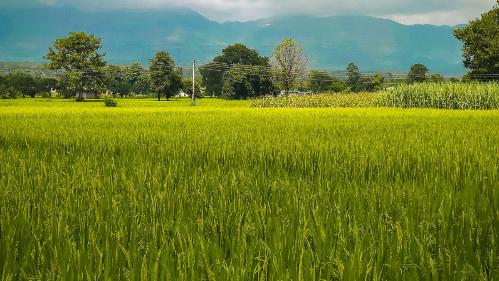 ekamjot-singh-KMxOkW6UhLo-unsplash