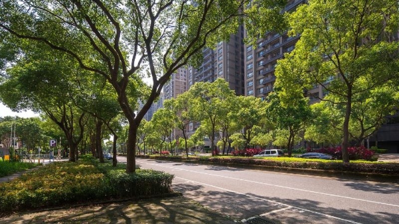 （圖／業者提供）