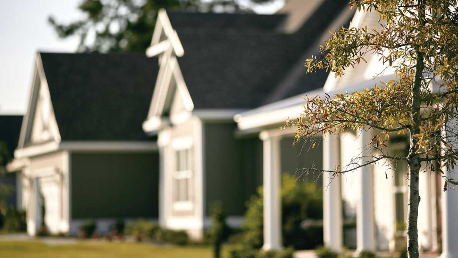 mansion-house-flower-home-neighborhood-spring-892435-pxhere.com