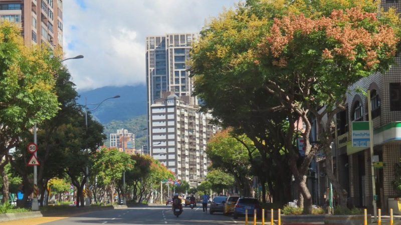 medias-20251012-68eb4d4939e1f