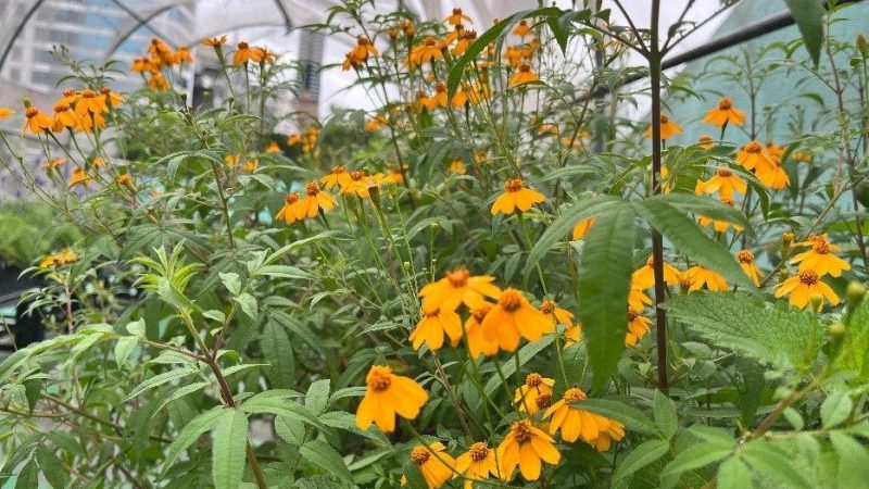 medias-20251012-68eb4dcd1fabe