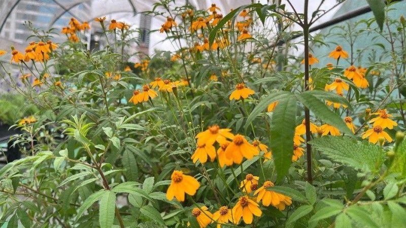 medias-20251012-68eb4dcd1fabe