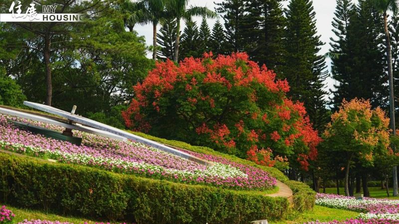 medias-20251024-68fad2cc1a62a