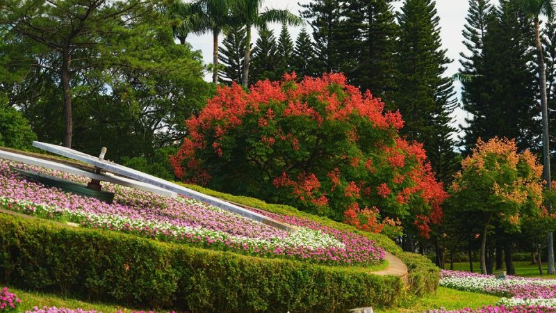 medias-20251024-68fad2cc1a62a