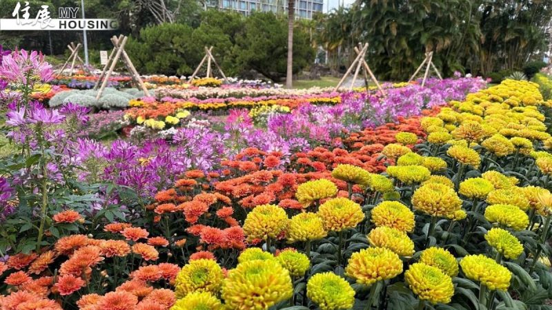 medias-20251106-690cbea54adac