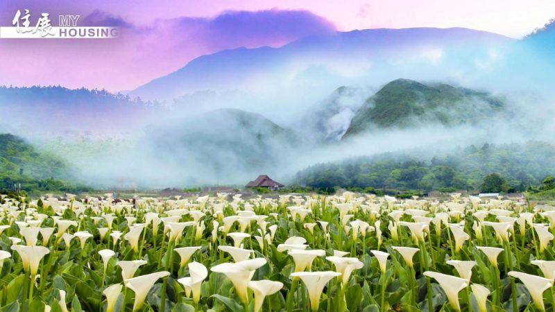 medias-20251112-6913eb2ff3a8b