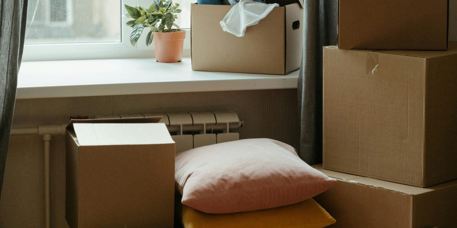 pexels-cottonbro-4569338