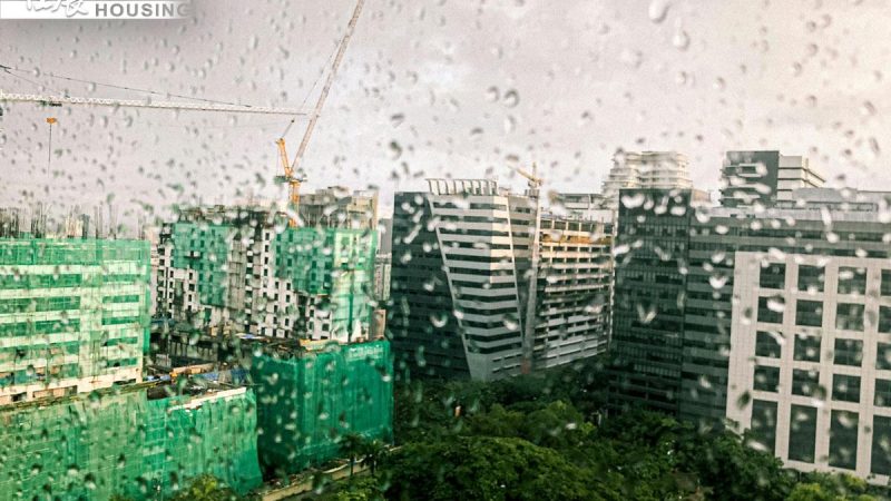 pexels-glyson-thomas-1293477-4066839