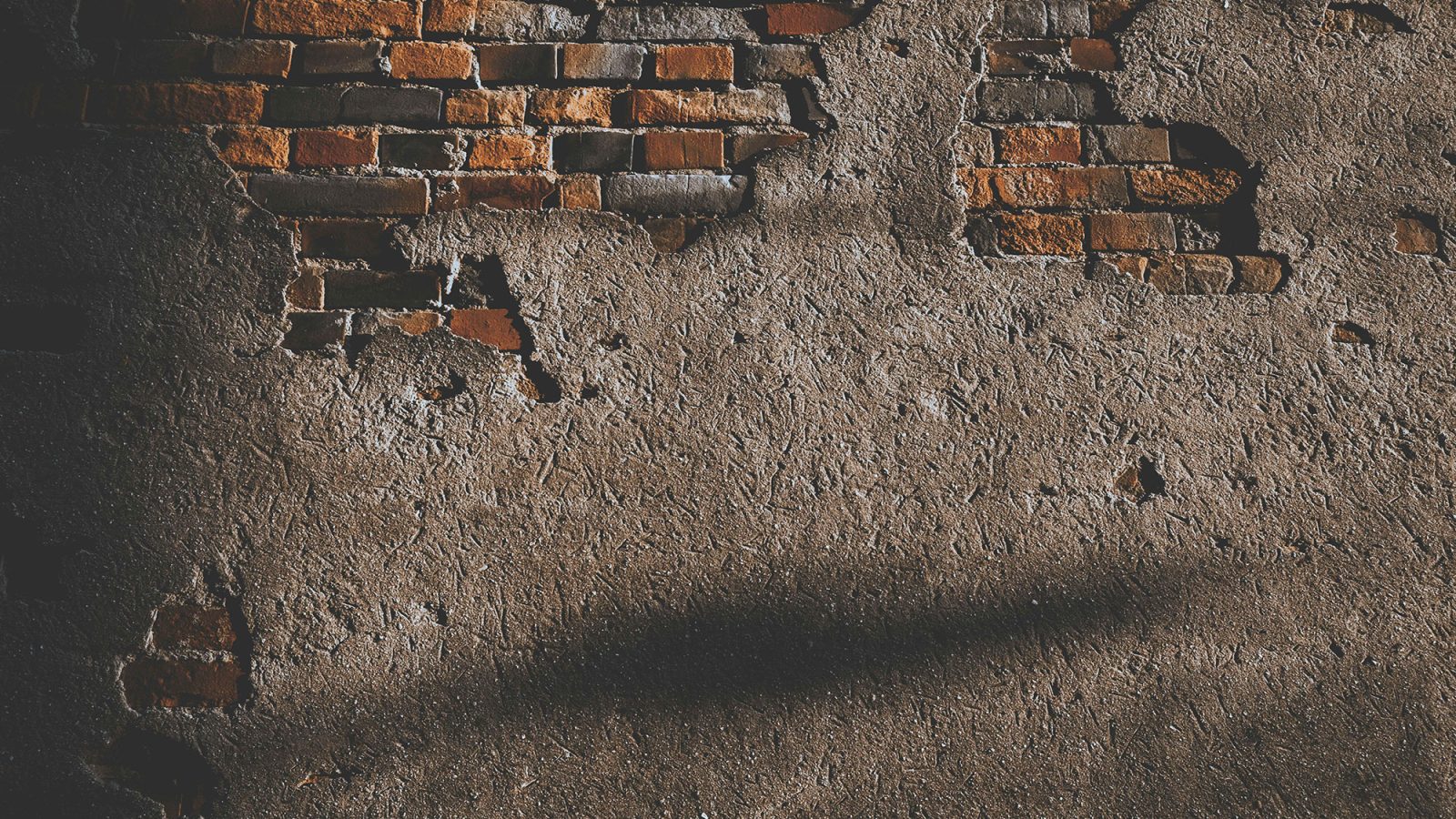 pexels-hngstrm-1901028