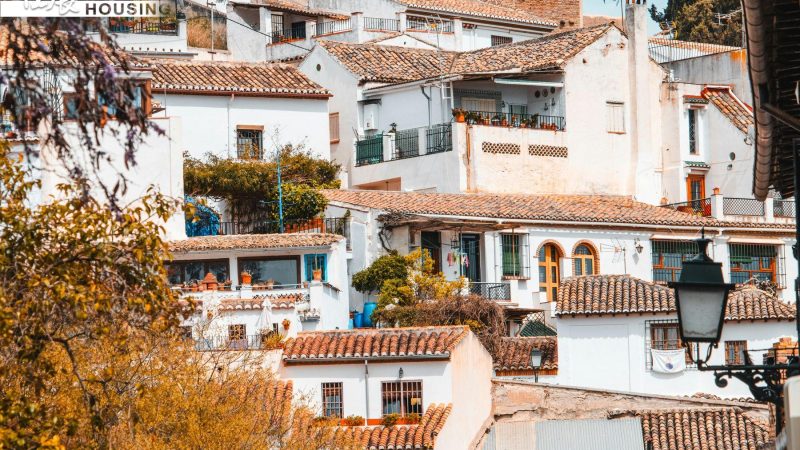 pexels-ridvan-yildirim-2150822558-31597670