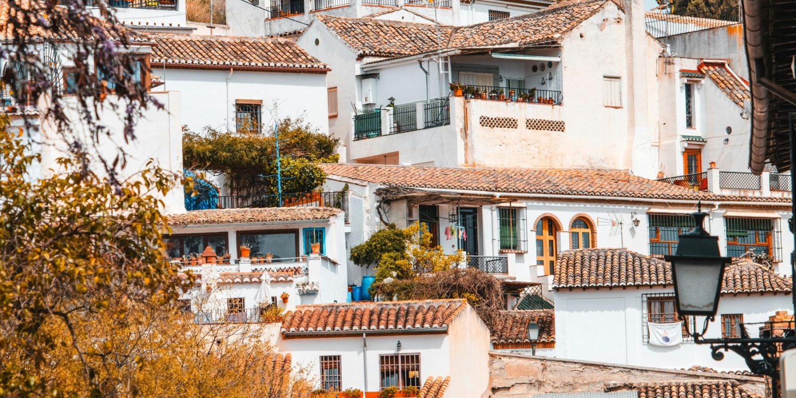 pexels-ridvan-yildirim-2150822558-31597670