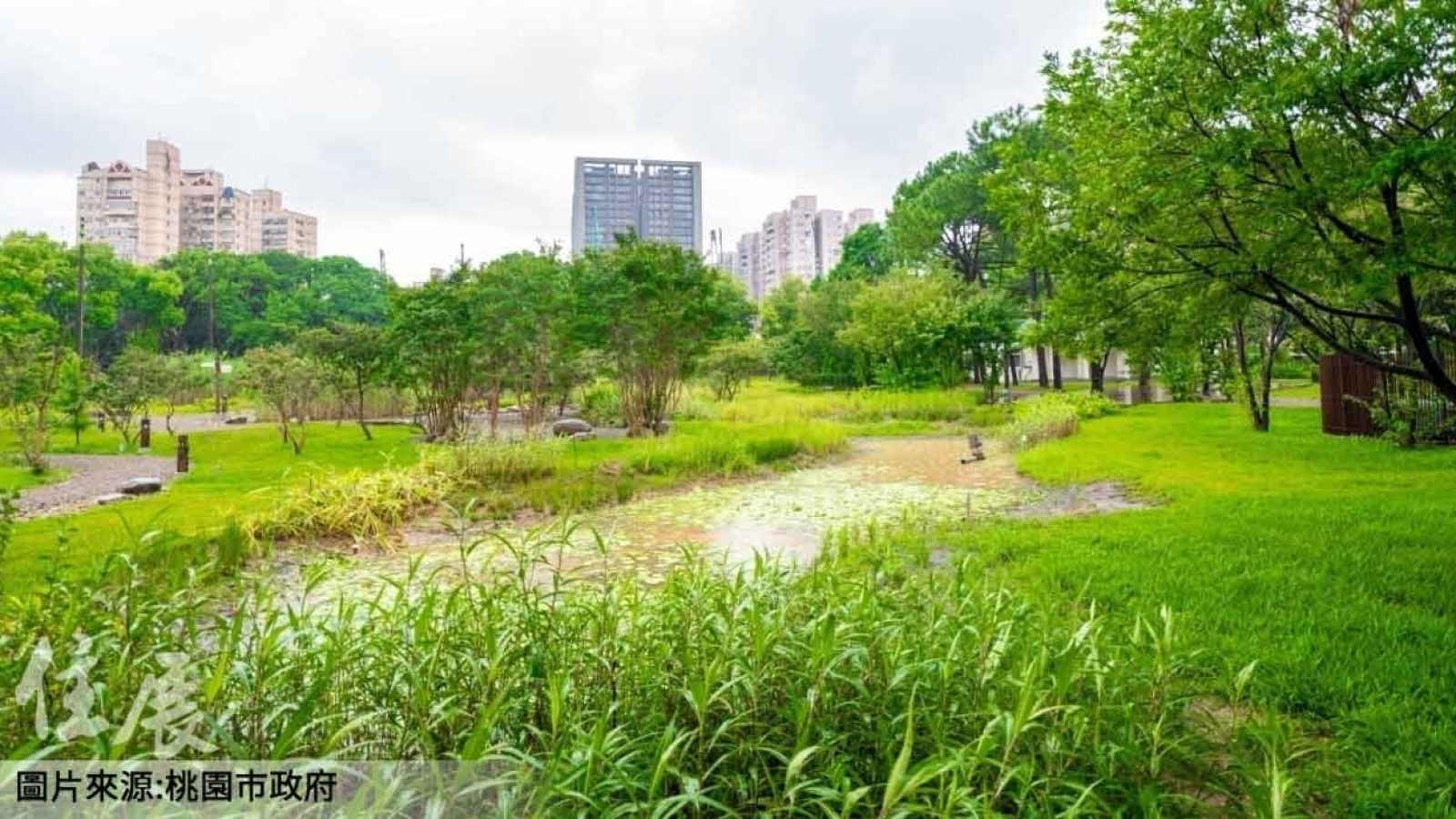 圖為示意圖 桃園市政府提供
