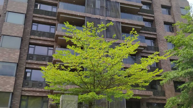 暖暖街333號1-2樓-十勝川照片-2