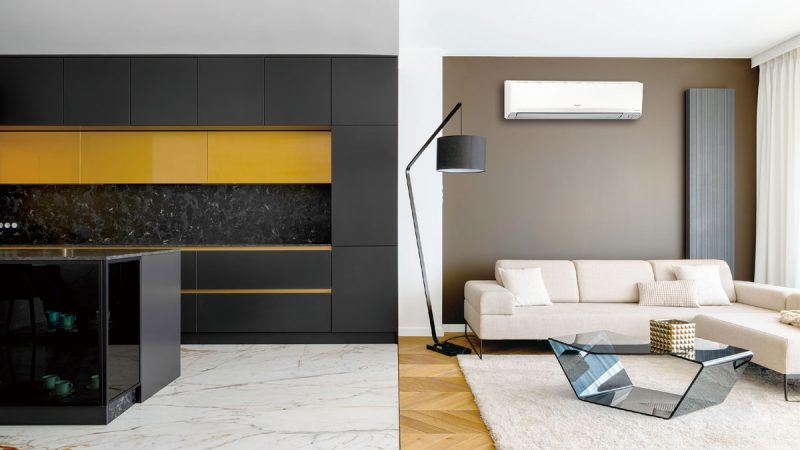 橫綱Y情境照(圖:業者提供)