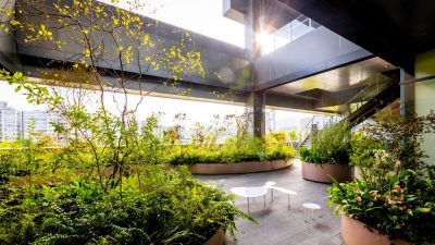 誠品生活新店｜擁有可眺望7千坪綠湖生態公園景觀的「野花園」露台，呼應台灣原生海拔植物綠意