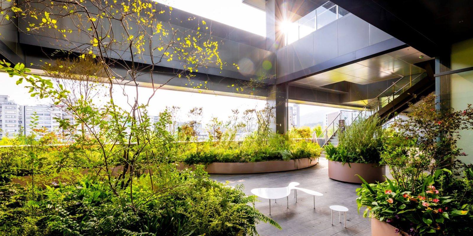 誠品生活新店｜擁有可眺望7千坪綠湖生態公園景觀的「野花園」露台，呼應台灣原生海拔植物綠意
