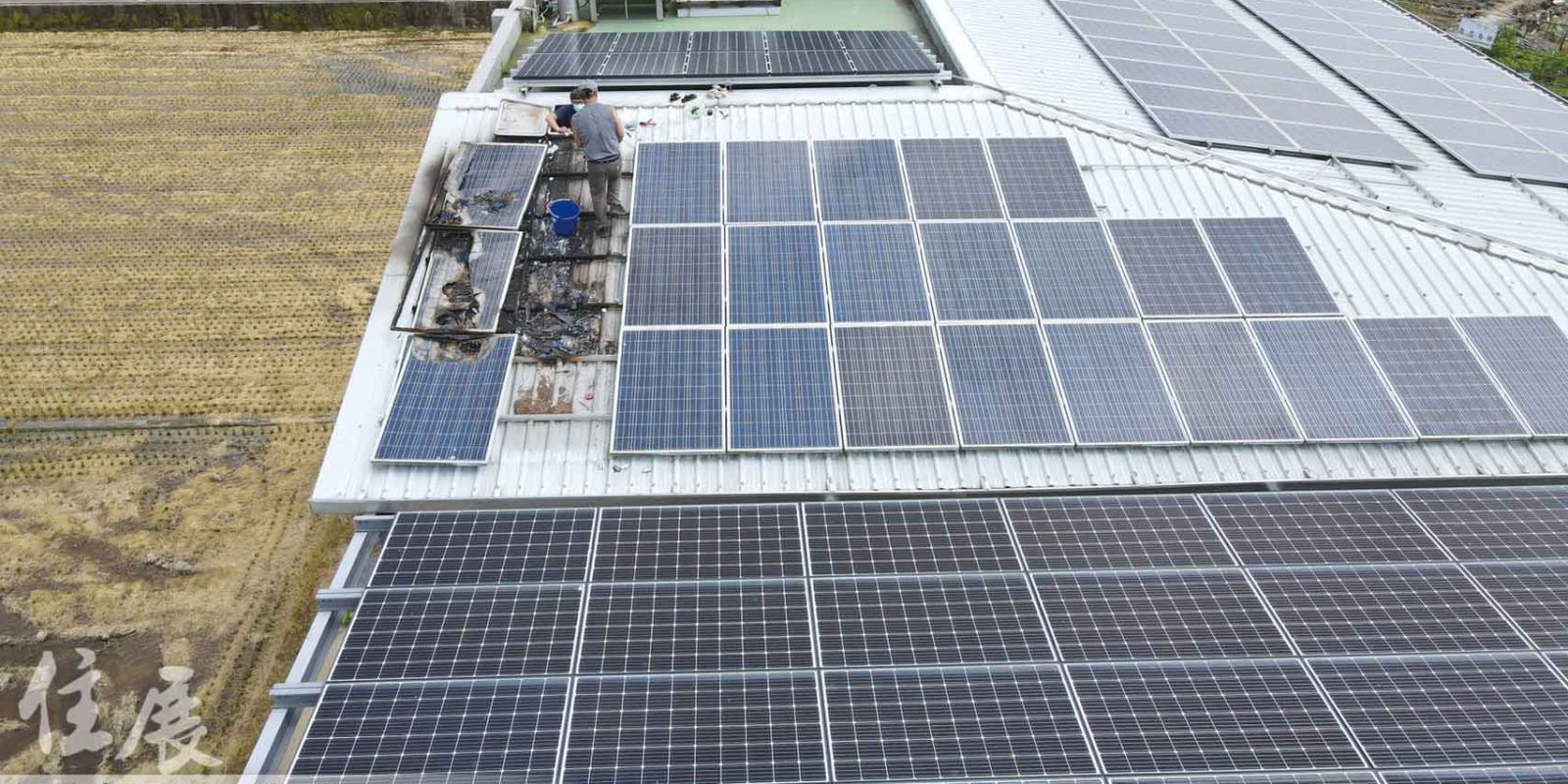 圖片林子翔提供